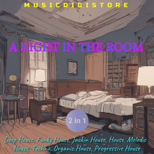 A Night In The Room 2 in 1