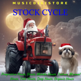 Stock Cycle